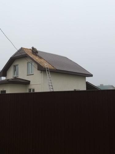 IMG-20191228-WA0036